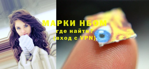 крисы Горняк