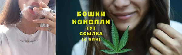 крисы Горняк