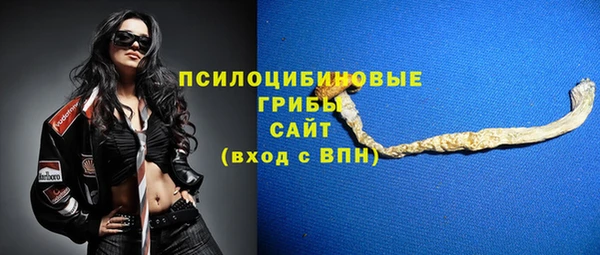 PSILOCYBIN Вязники