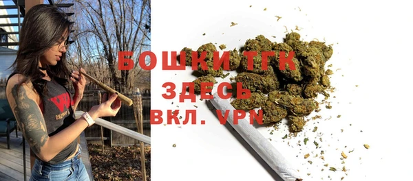 PSILOCYBIN Вязники