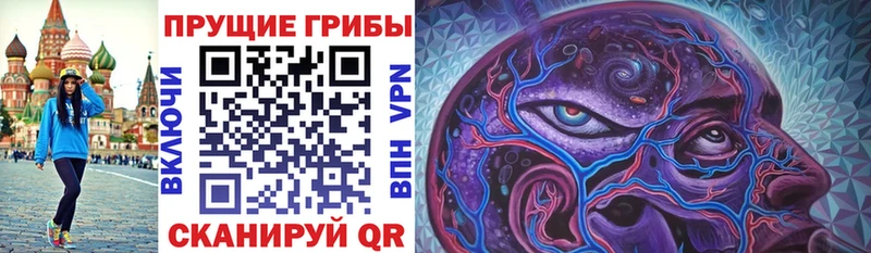 мориарти телеграм Новохопёрск Галлюциногенные грибы прущие грибы KRAKEN ТОР