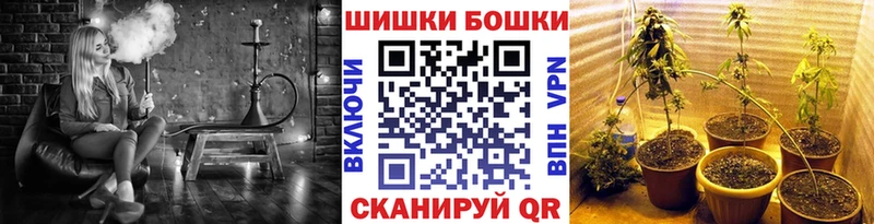 где купить   Новохопёрск  Конопля марихуана 